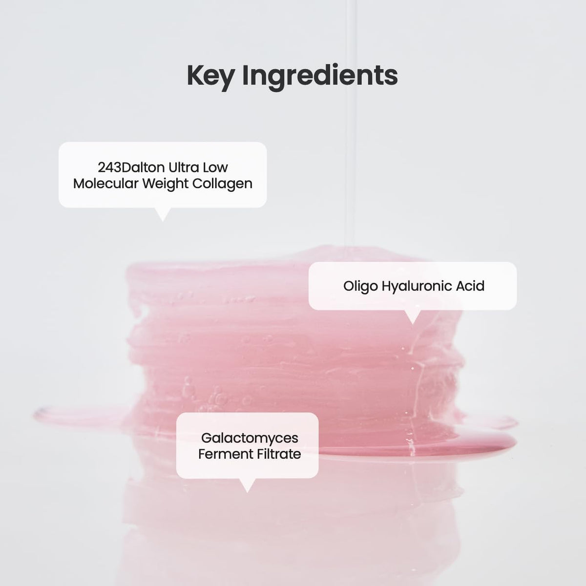 Biodance Collagen Gel Toner Pads - Snipetell