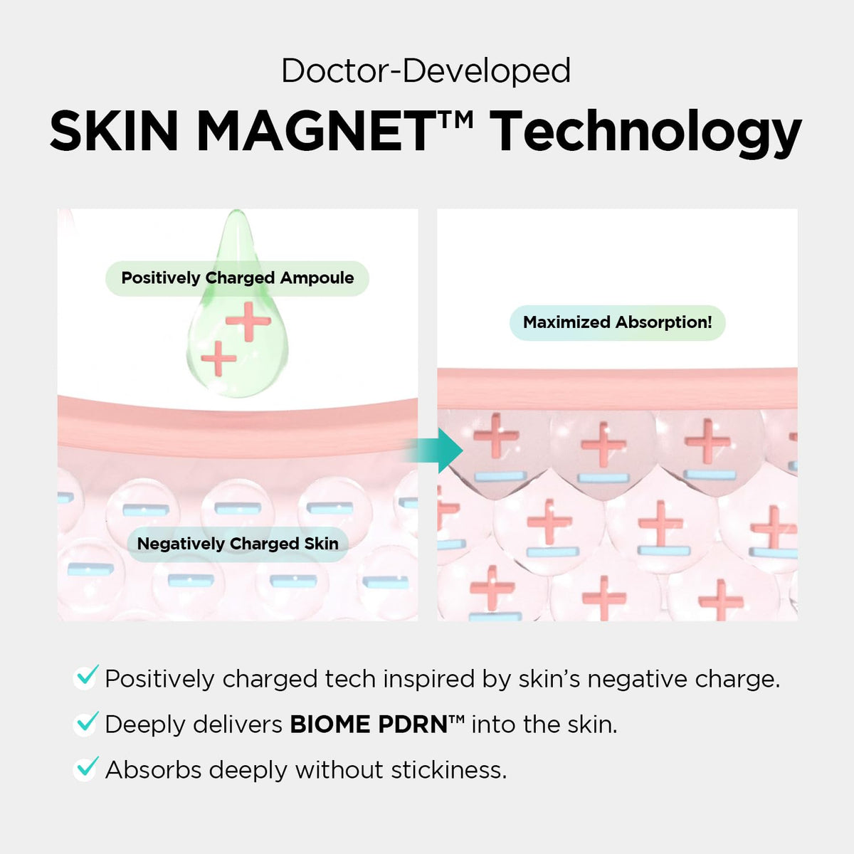 Dr. nineteen ReDRN Exosome Ampoule - Snipetell