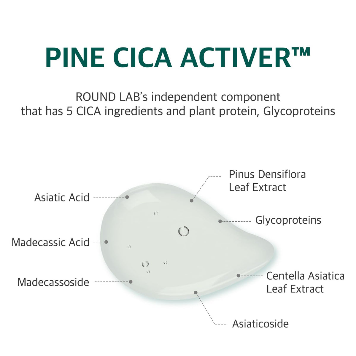 Round Lab Pine Calming CICA Mask - Snipetell