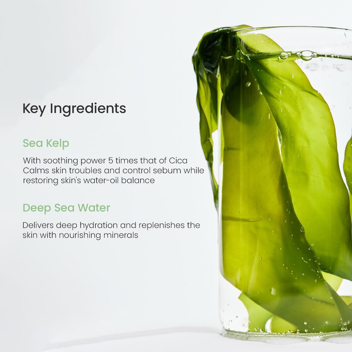 Biodance Refreshing Sea Kelp Real Deep Mask - Snipetell