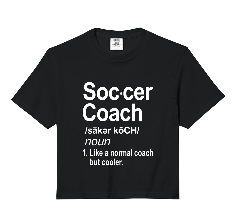 Funny Soccer Coach Like Normal Coach Hoodie - Custom Art Print for Adults