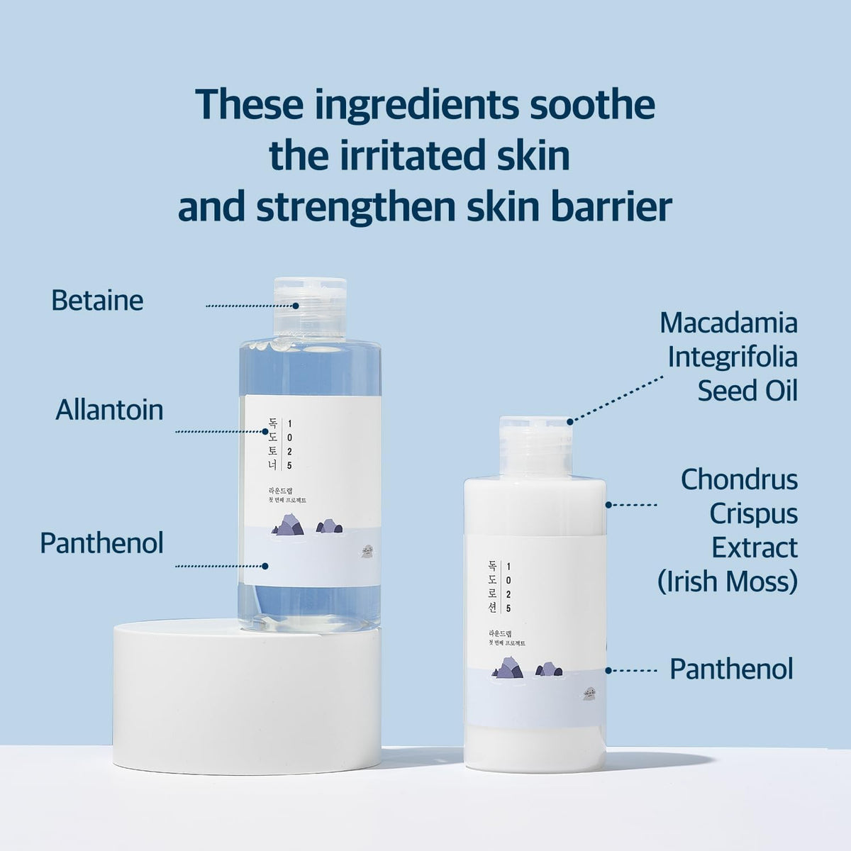Round Lab 1025 Dokdo Toner Lotion Special Set - Snipetell
