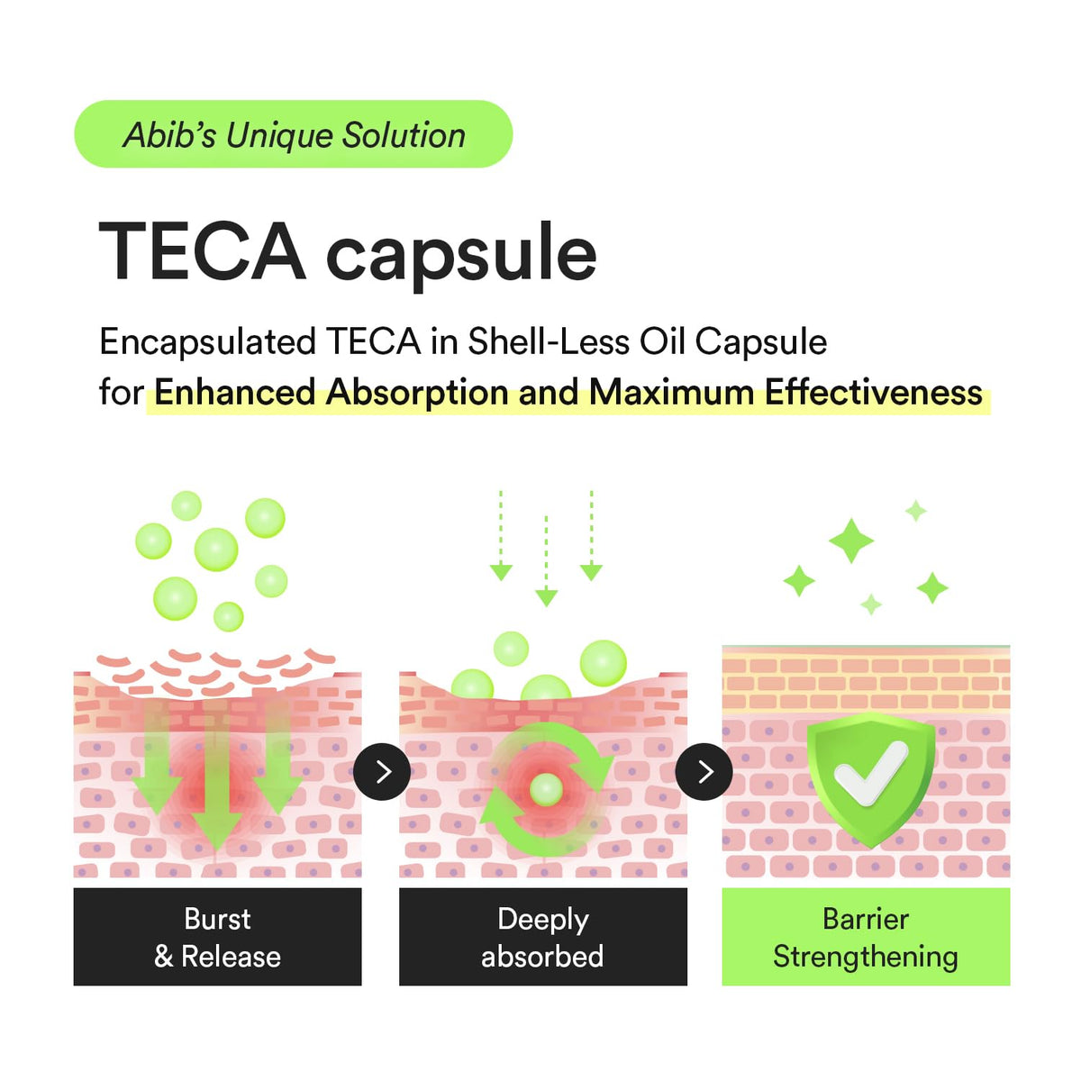 Abib Heartleaf TECA Capsule Serum - Snipetell