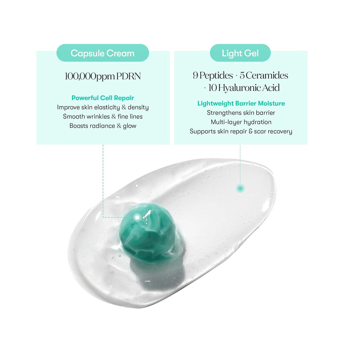 VT PDRN Capsule Cream 100 - Snipetell
