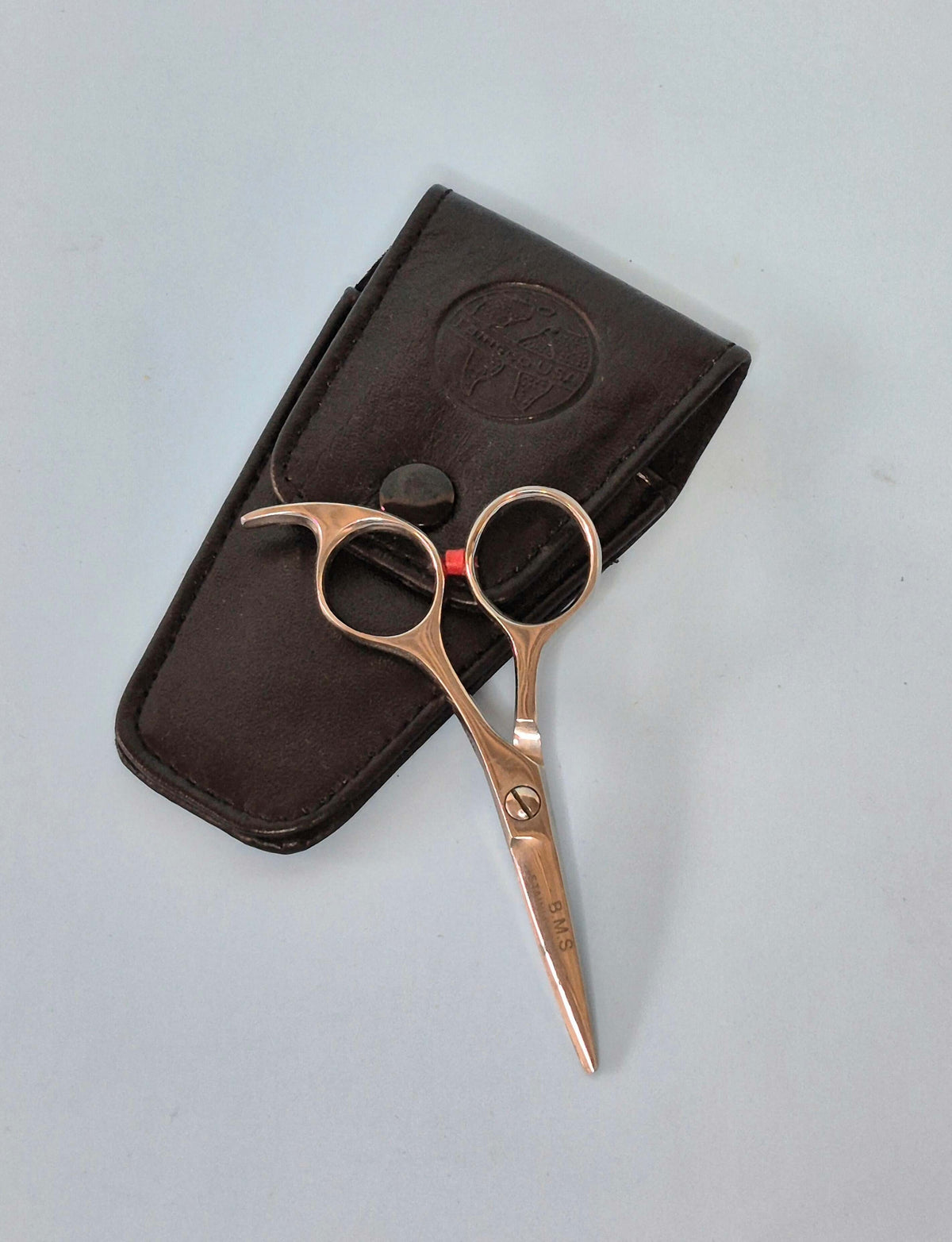 Mini Shears for Precision Grooming - Your Perfect Grooming Companion