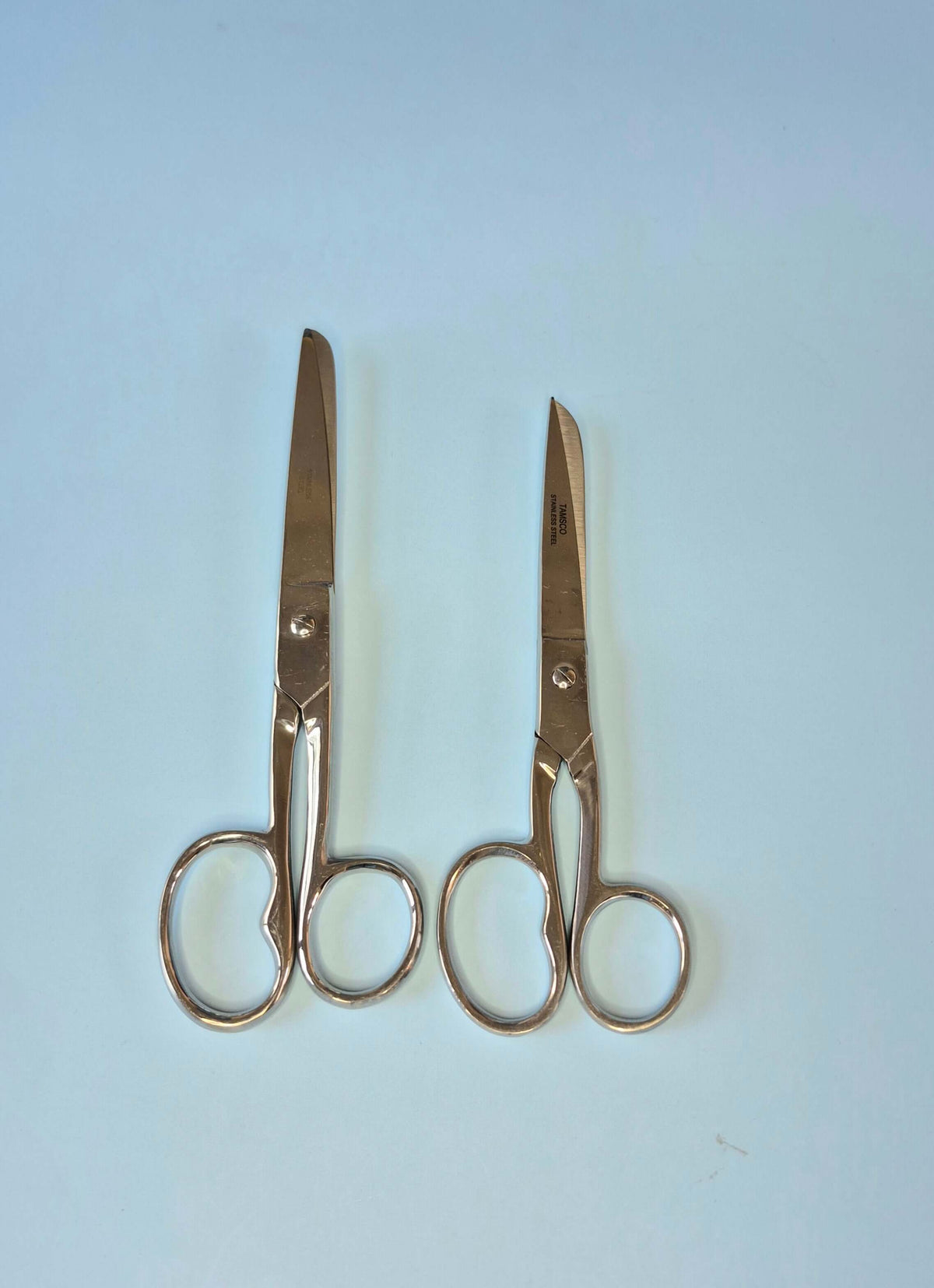 Household Scissors (2 sizes)