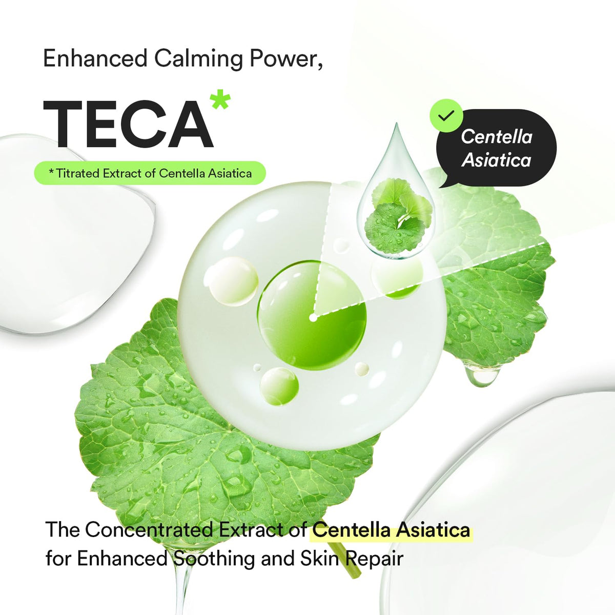 Abib Heartleaf TECA Capsule Serum - Snipetell