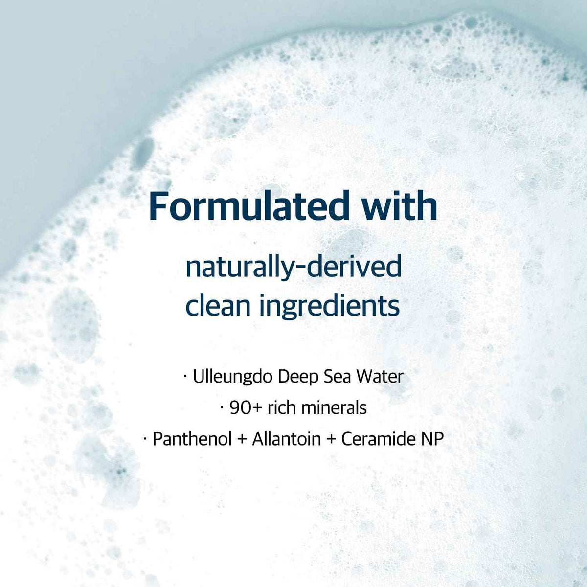 Round Lab 1025 Dokdo Cleanser
