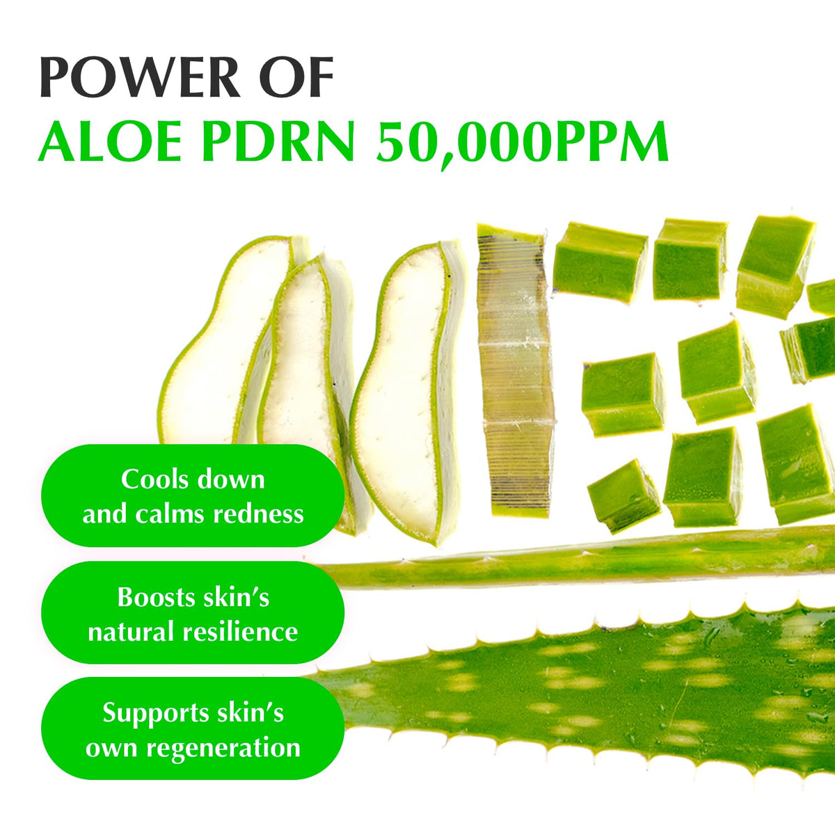 EQQUALBERRY Aloe PDRN Calming Serum - Snipetell