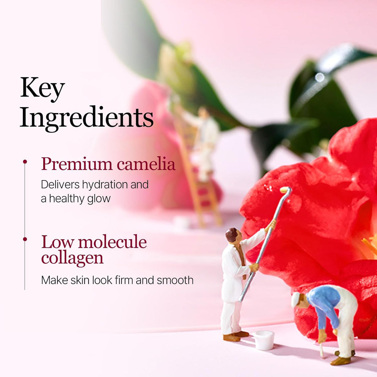 Round Lab Camellia Deep Collagen Firming Gel Mask - Snipetell
