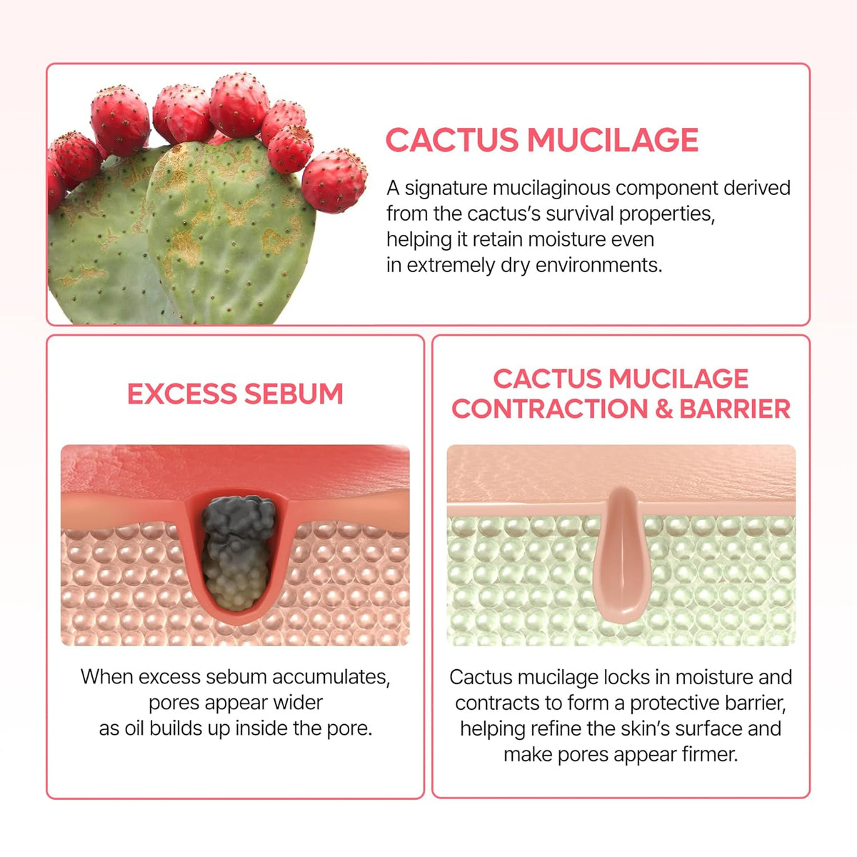 Dr.Melaxin CACTOX Pore Relief Dual Capsule Cream - Snipetell