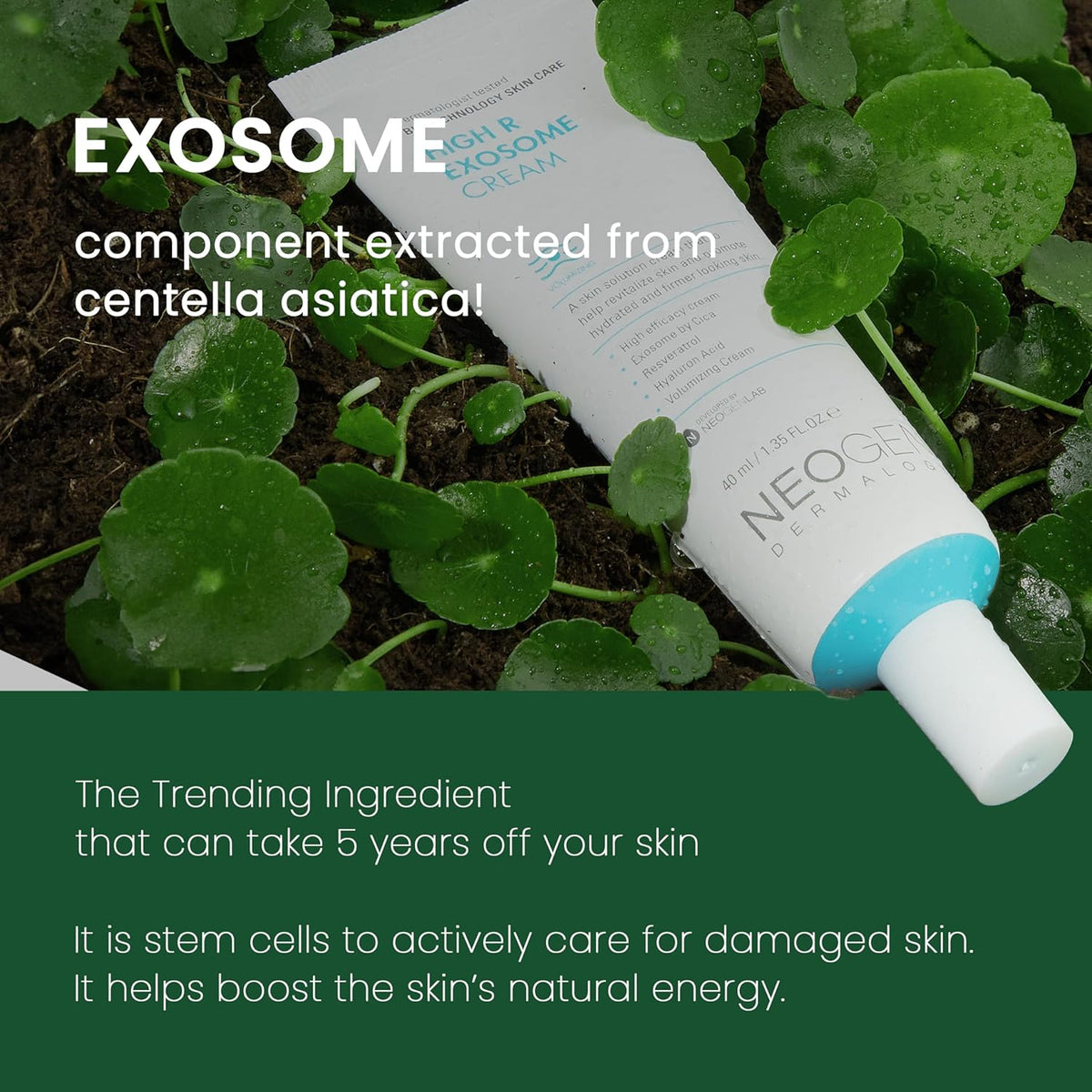 NEOGEN Dermalogy High R Exosome Cream - Snipetell
