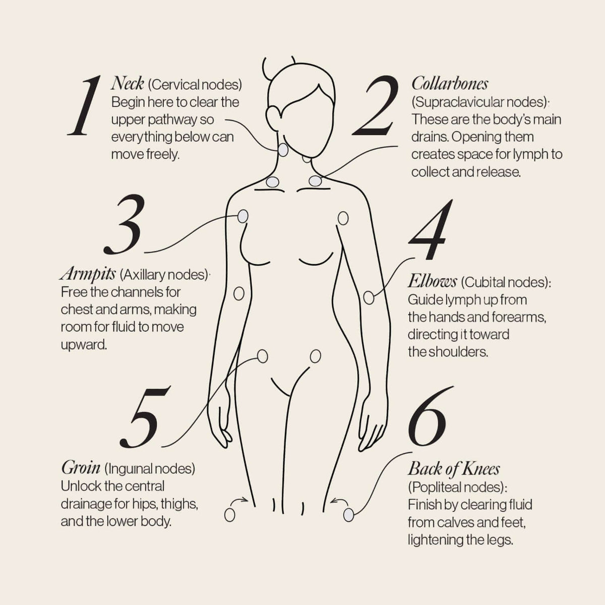 Lymphatic Drainage Dots