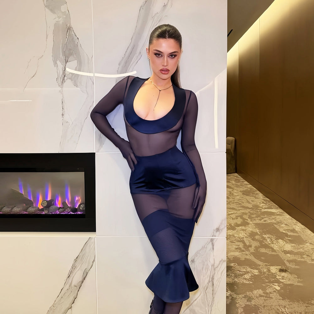 Summer Arrival Low Collar Long Sleeves Slim Fit Sexy See through Mesh Cinched Sheath Dress
