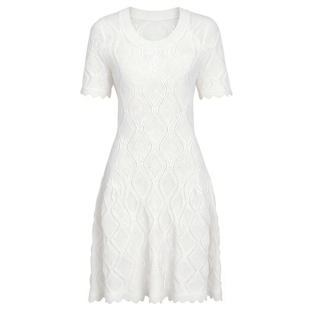 Summer Ladies Internet Popular Slim Fitting Slimming Short Sleeve Embroidered Hollow Out Cutout Dress Women