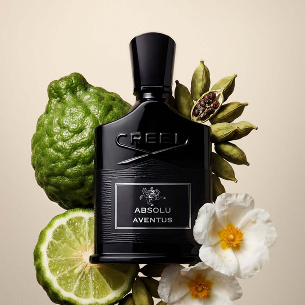 Creed Absolu Aventus Eau de Parfum pour homme