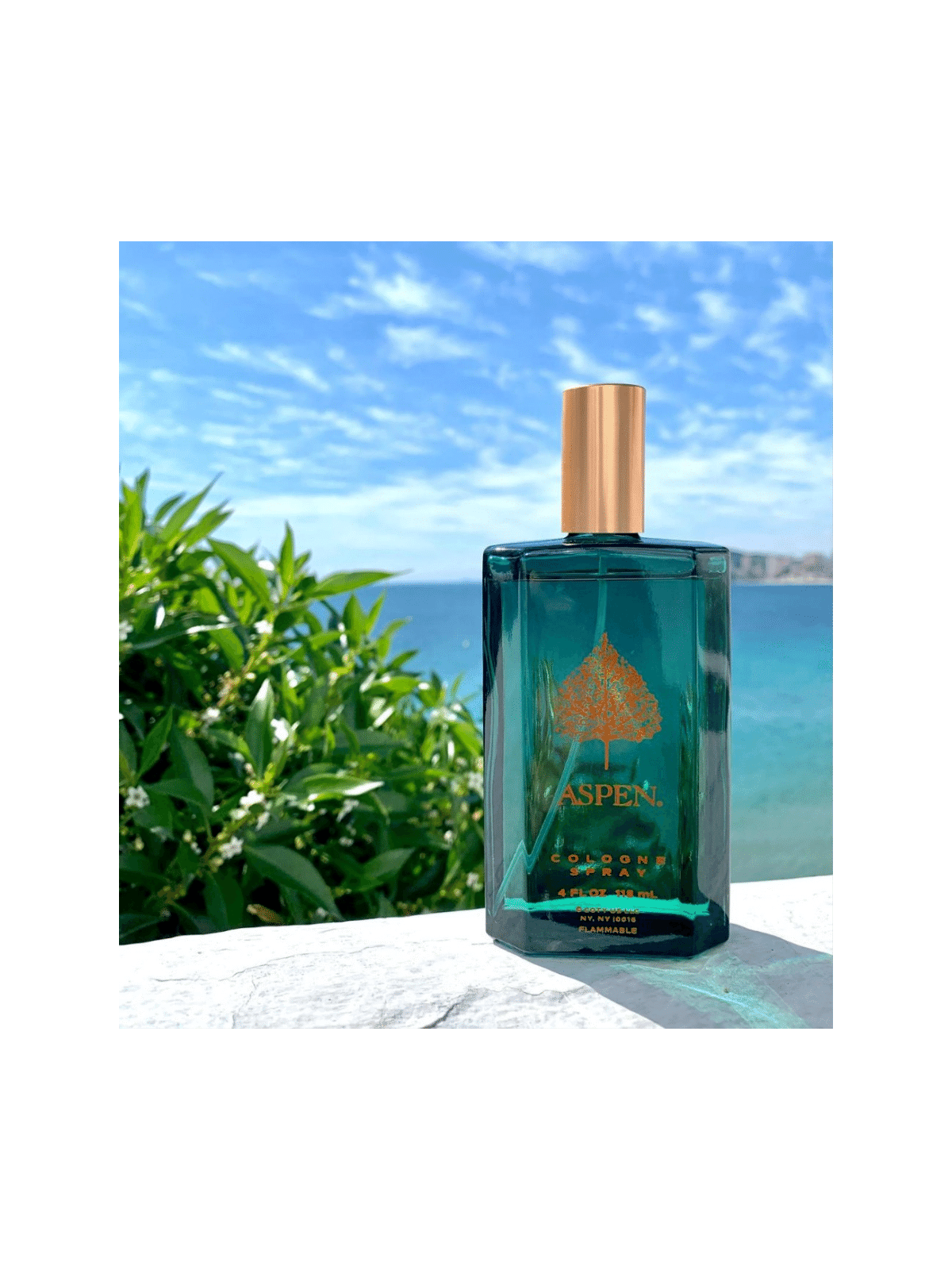 Eau de Cologne Aspen de Coty