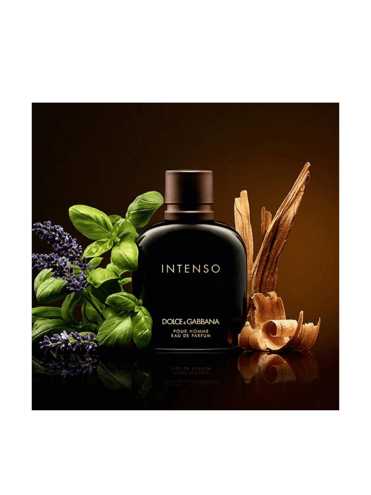 D&G Intenso Eau de Parfum
