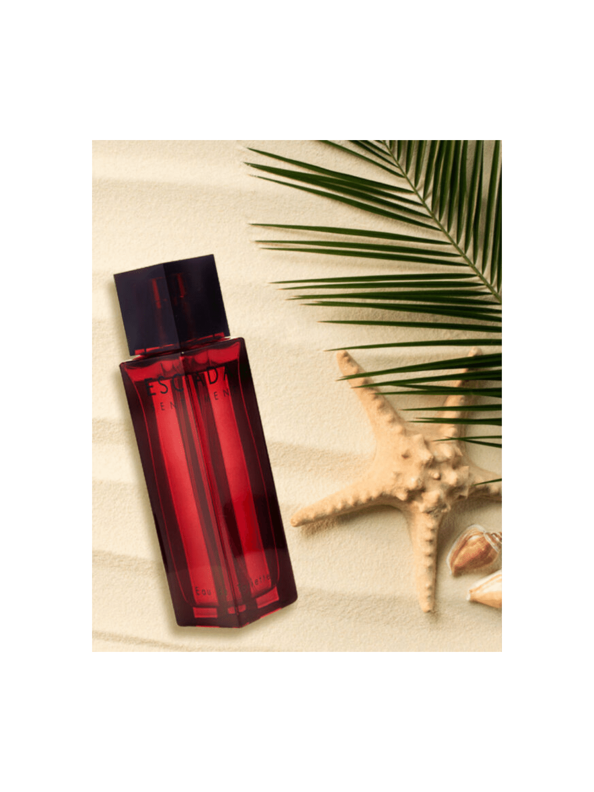 Eau de Toilette Escada Sentiment pour Homme