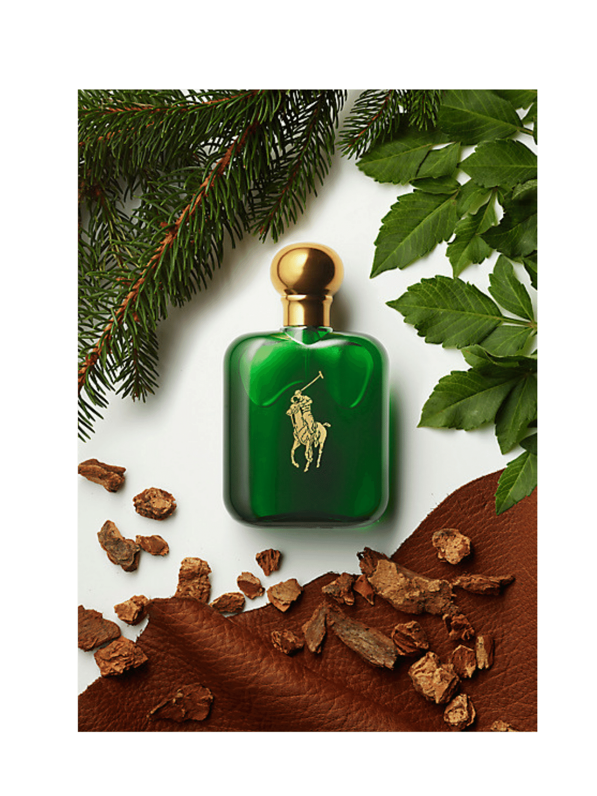 Polo par Ralph Lauren Eau de Toilette