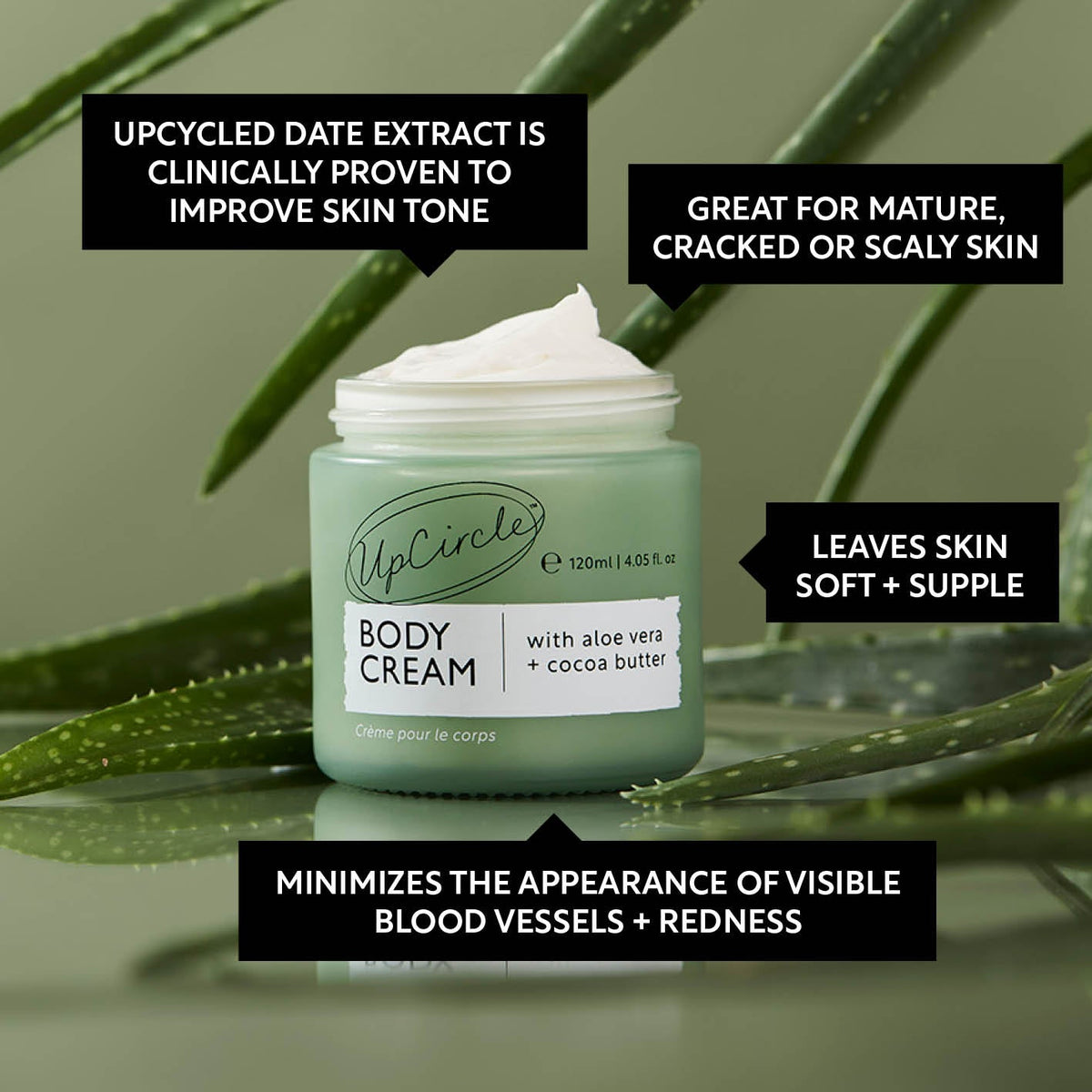 Natural Body Cream with Aloe Vera + Cocoa Butter - Snipetell