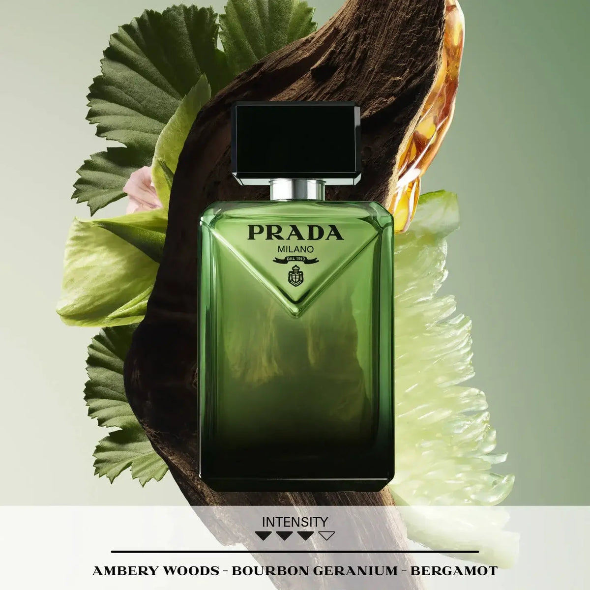 Prada Paradigme Perfume & Cologne