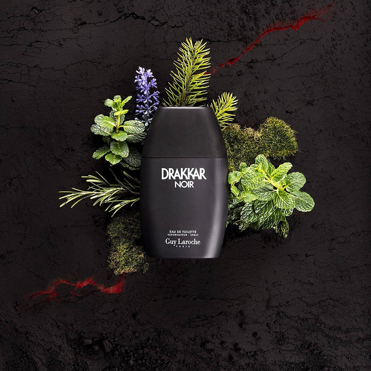 DRAKKAR NOIR Eau De Toilette
