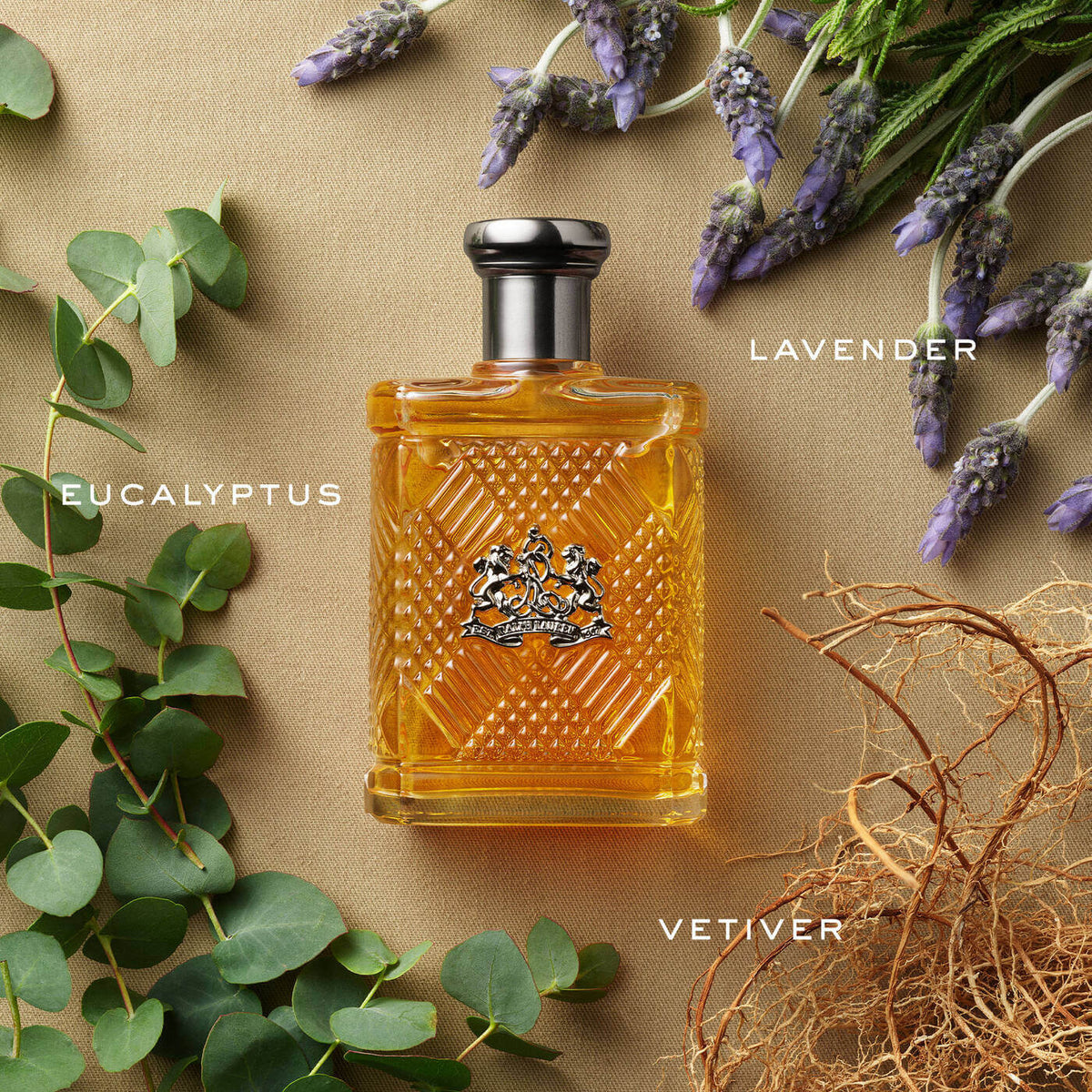 Safari for Men de Ralph Lauren