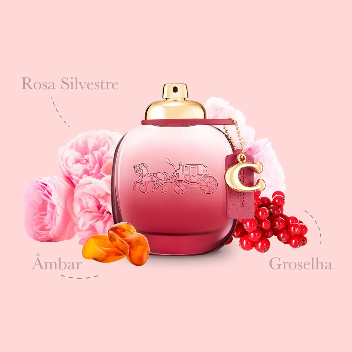 Eau de parfum Coach Wild Rose