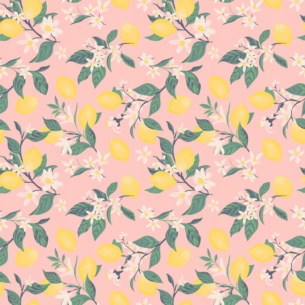 Pink Lemon Floral Print Cap Sleeve Swirly Girl Dress